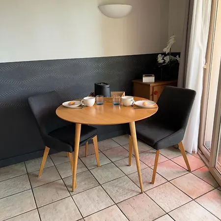 Apartment Le Du D'annecy Avec Les Pieds Dans L Eau, Et Ponton Prive *